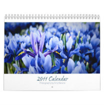 Amy’s 2011 Calendar