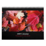 Amy's 2009 Calendar