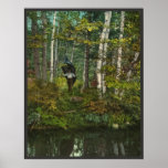 An Adirondack Carry  - Portage Through the Woods Print