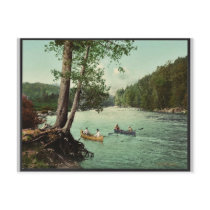 An Adirondack mountain stream classic Photochrom Post Cards