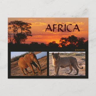 An African Safari Postcard