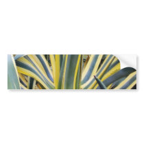 An Agave Cactus Not Blue Agave Though bumper stickers by lifesphere An Agave Cactus Not Blue Agave Though bumper stickers