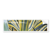 An Agave Cactus Not Blue Agave Though bumper stickers by lifesphere An Agave Cactus Not Blue Agave Though bumper stickers