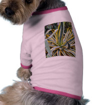 An Agave Cactus Not Blue Agave Though pet clothing
