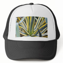 An Agave Cactus Not Blue Agave Though hats by lifesphere An Agave Cactus Not Blue Agave Though hats