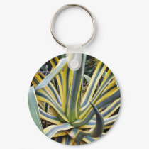 An Agave Cactus Not Blue Agave Though keychains