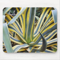 An Agave Cactus Not Blue Agave Though mousepads
