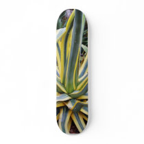 An Agave Cactus Not Blue Agave Though skateboards by lifesphere An Agave Cactus Not Blue Agave Though skateboards