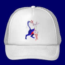 An American Cat and star Hats hats