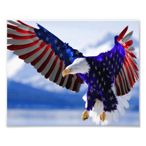An American Eagle Photo
