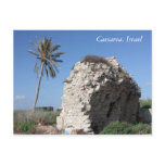 An ancient wall with a Palm tree, Caesarea, Israel Postcards
