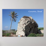 An ancient wall with a Palm tree, Caesarea, Israel posters