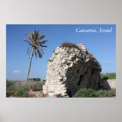 An ancient wall with a Palm tree, Caesarea, Israel Poster by Yarijik