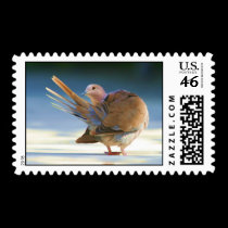 An angel in the sky III postage by larissabrea An angel in the sky III postage