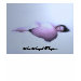 Ladies Petite T-Shirt