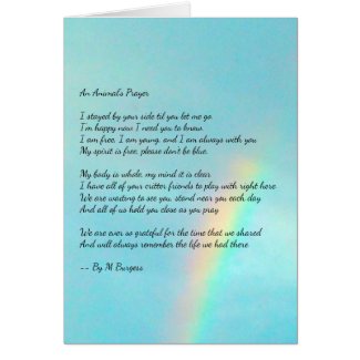 An Animal's Prayer - Rainbow -