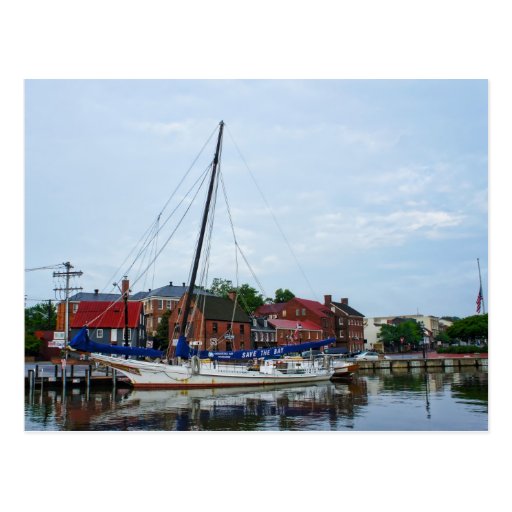 An Annapolis Sailboat Postcard