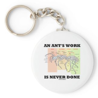 An Ant's Work Is Never Done (Worker Ant Anatomy) zazzle_keychain