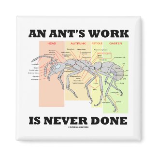 An Ant's Work Is Never Done (Worker Ant Anatomy) zazzle_magnet