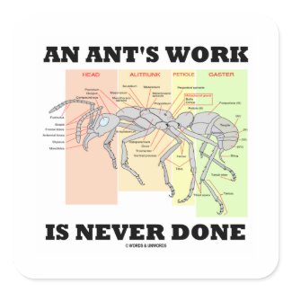 An Ant's Work Is Never Done (Worker Ant Anatomy) zazzle_sticker