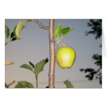 An apple a day greeting card