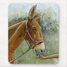 Missouri Mule State Animal