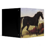 An Arabian Horse binders