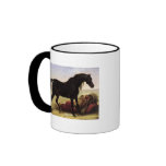 An Arabian Horse Mug