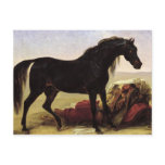 An Arabian Horse Post Cards