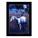 AN ARABIAN NIGHT Poster posters by RavenSpiritPrints AN ARABIAN NIGHT Poster posters