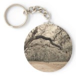 An Arch of Oakes Key Chains