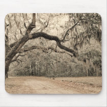 An Arch of Oakes mousepads