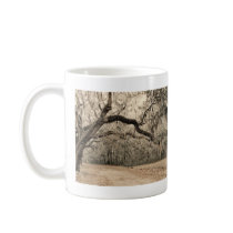 An Arch of Oakes Mug