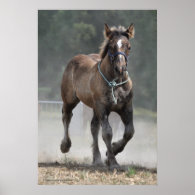 An Ardennais draft horse foal print