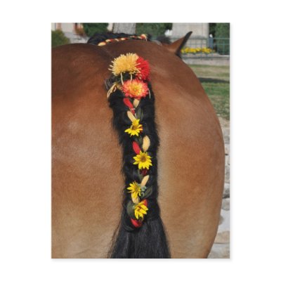An Ardennes horse with plaited tail Postcards by ruralfrance