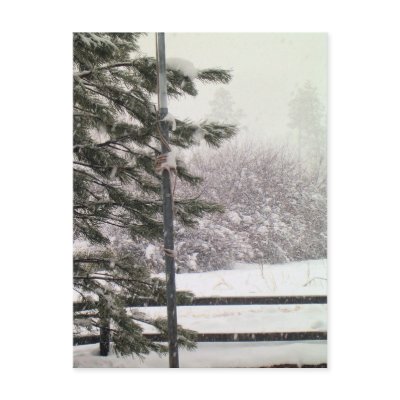 An Arizona Snow Postcards by bubbasbunkhouse