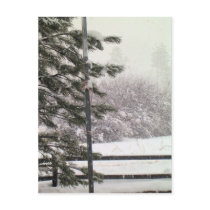 An Arizona Snow postcards