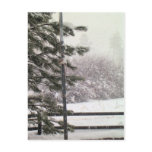 An Arizona Snow postcards