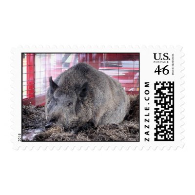 An Arkansas Razorback Stamps by Justngage