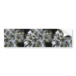An Aspen Canopy Located On The Slope Of The San Fr Bumper Sticker