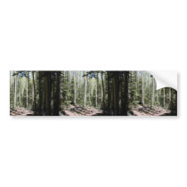 An Aspen - Fir Dominated Forest Just North And Dow Bumper Stickers