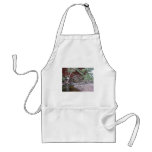 An Aspen Grove Amongst Pines Aprons