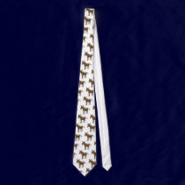 An Asse ties