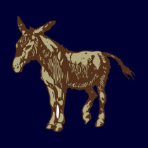 An Asse t-shirts