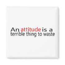 An Attitude Is A Terrible Thing To Waste Magnets