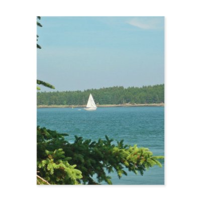 An August Day Postcards by DalesPhotoShop