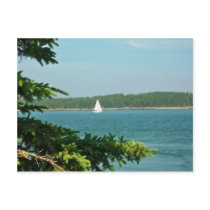 An August Day Post Card
