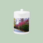 An Autumn Afternoon Walk teapots