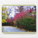 An Autumn Afternoon Walk mousepads