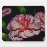 An Autumn Filler Flower Mouse Pads An Autumn Filler Flower Mouse Pads